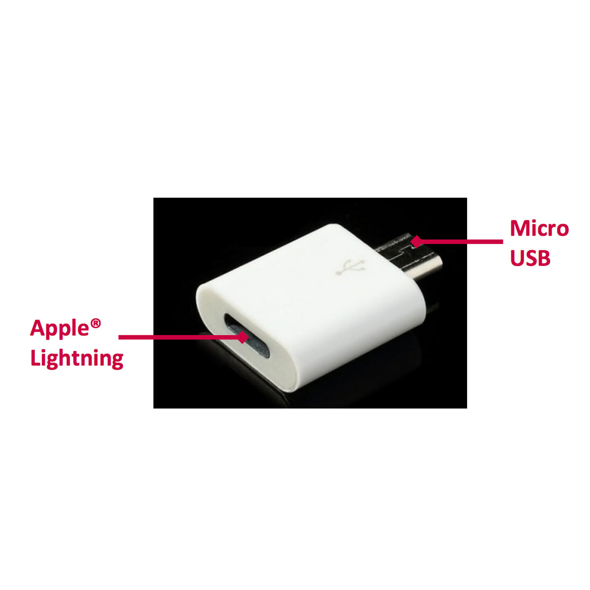 Adaptateur Micro-USB femelle vers Lightning mâle, Charge